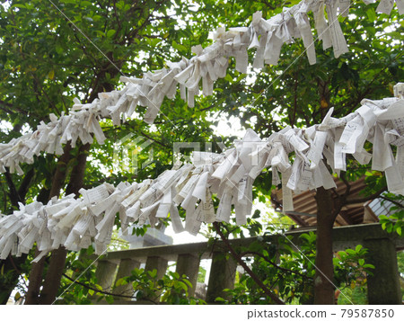 Omikuji Omikuji 79587850