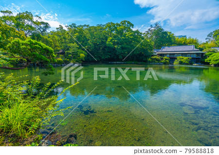 Rakujuen Obama Pond [Shizuoka Prefecture Mishima City] 79588818