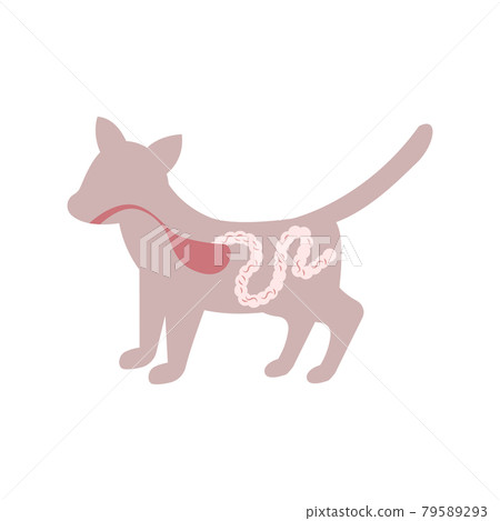 Helminths Flat Icon 79589293