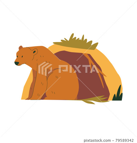 Flat Bear Illustration 79589342
