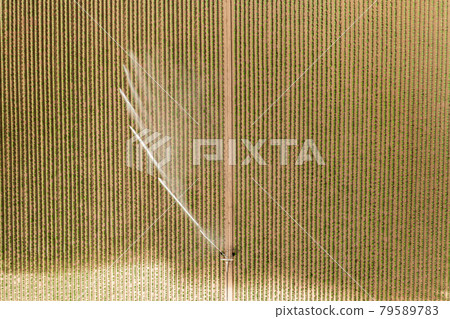 Top view on the irritation equipment on the field for watering.  79589783