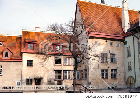 Oleviste Church View on the famous castle wall and Cathedral with Old Town towers in Tallinn, Estonia. Gothic Landmarks of Scandinavian city at spring, UNESCO heritage. Towers of the city wall aerial Oleviste Church View on the famous castle wall and Cathedral with Old Town towers in Tallinn, Estonia. Gothic Landmarks of Scandinavian city at spring, UNESCO heritage. Towers of the city wall aerial 79591977