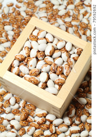 Tiger beans, one side of Tora beans and Masu Tiger beans, one side of Tora beans and Masu 79592692