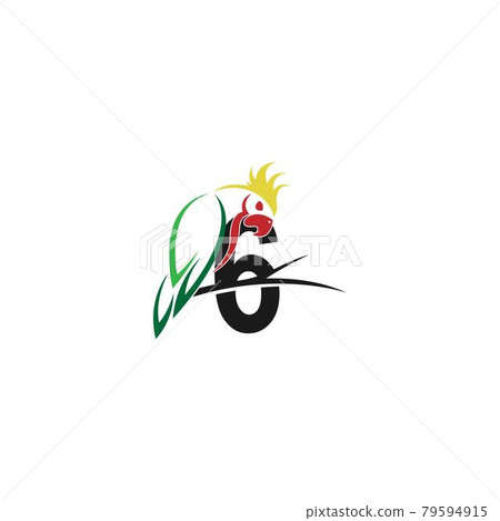 Number 6 with parrot bird icon logo design vector 79594915
