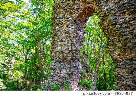 Stone gate of forest castle ruins Stone gate of forest castle ruins 79594957