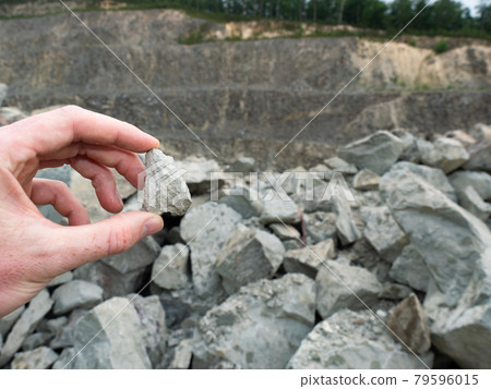 Hand hold stone or nugget in open quarry. Expert found the mineral stone Hand hold stone or nugget in open quarry. Expert found the mineral stone 79596015