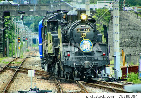 Going on Kinugawa Road ... Steam locomotive [C11-325] 79599384