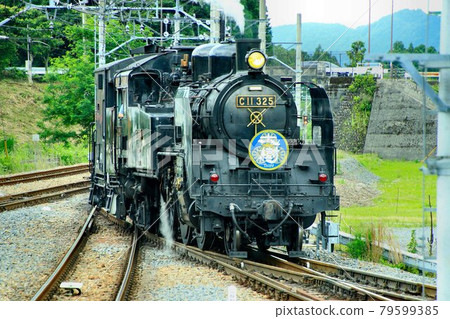 Going on Kinugawa Road ... Steam locomotive [C11-325] 79599385