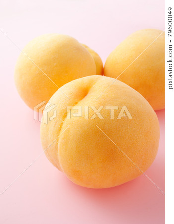 黃桃桃桃桃紅背 黃桃桃桃桃紅背 79600049