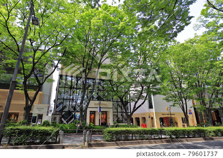 Cityscape of Omotesando, Shibuya-ku, Tokyo 79601737