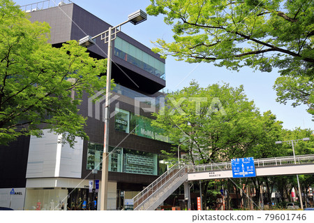 Cityscape of Omotesando, Shibuya-ku, Tokyo 79601746