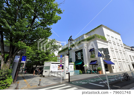Cityscape of Omotesando, Shibuya-ku, Tokyo 79601748