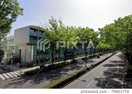 東京都澀谷區表參道Hills 79601759