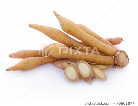 Fingerroot, Kaempfer, Boesenbergia on white background 79601874