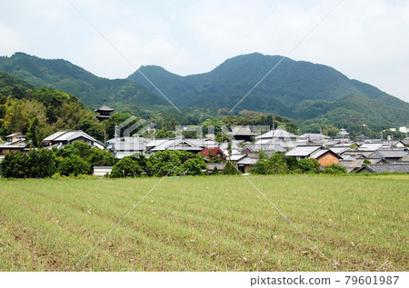 Nijoyama Taima-dera, Katsuragi City, Nara Prefecture Nijoyama Taima-dera, Katsuragi City, Nara Prefecture 79601987