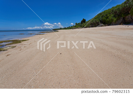 南部寬敞、開闊、無人居住的海灘 南部寬敞、開闊、無人居住的海灘 79602315