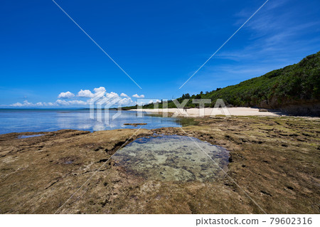 沖繩大自然創造的深濱圓形潮池和海灘 79602316