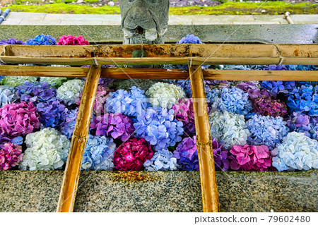 Ashiwa Shrine 79602480