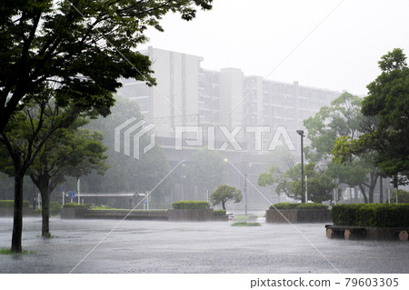 下大雨的城市 79603305