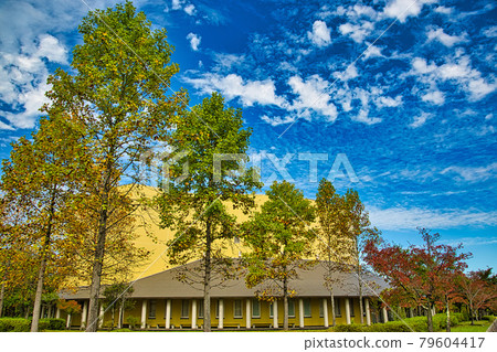 越前陶瓷村-秋天 79604417