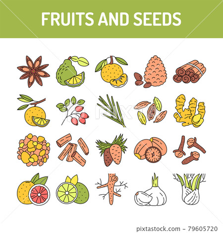 Fruit and seeds color line icons set. Pictogram for web page, mobile app, promo 79605720