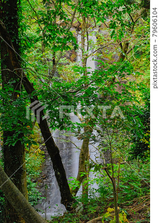 Waterfall of Gootakko 79606104