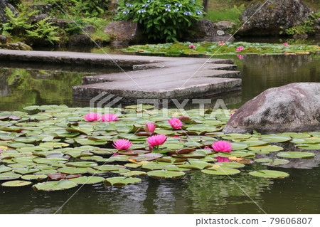 仙台山名寺庭園 79606807