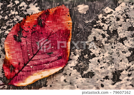 Fallen leaves Fallen leaves 79607162