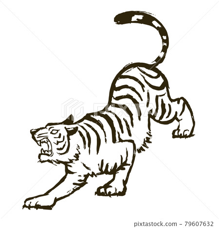 吠叫的白老虎的插圖 79607632
