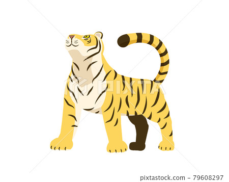 Yellow tiger tiger animal whole body - Stock Illustration [79608297] -  PIXTA