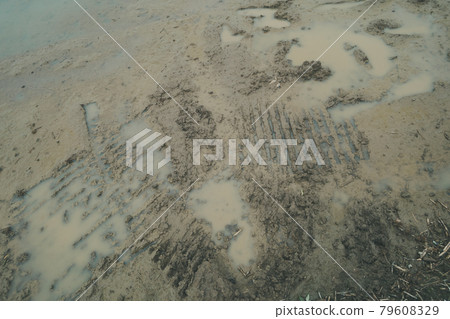 Before rice planting 79608329
