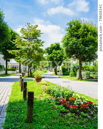 房子/生活/城市形象垂直構圖 房子/生活/城市形象垂直構圖 79608341
