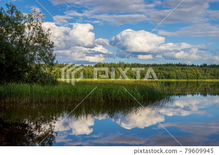 Beautiful summer landscape. View of the lake and forest. Beautiful summer landscape. View of the lake and forest. 79609945