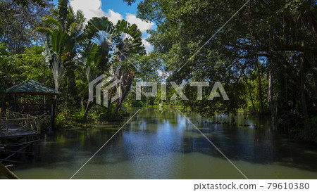 Sandakan, Malaysia Sandakan, Malaysia 79610380