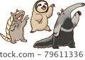 [Animal] Six-banded armad, sloth, giant anteater 79611336