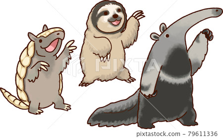 [Animal] Six-banded armad, sloth, giant anteater 79611336