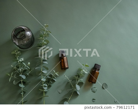 Eucalyptus leaves and aroma oil bottle. Green, foliage plants, relaxation, hobbies. 79612171