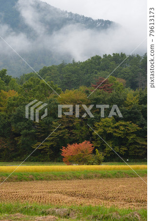 Rural scenery, Ueda City, Nagano Prefecture Rural scenery, Ueda City, Nagano Prefecture 79613173