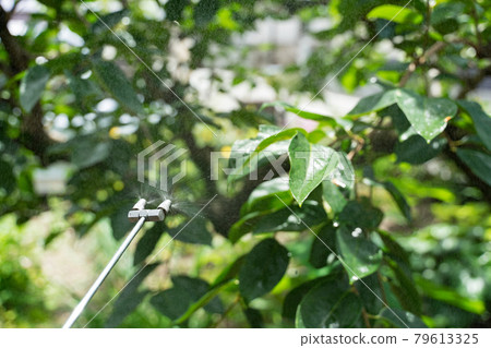 Disinfection spray nozzle 79613325