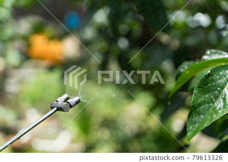 Disinfection spray nozzle 79613326
