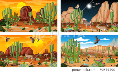 Different desert forest landscape scenes with animals and plants Different desert forest landscape scenes with animals and plants 79615190