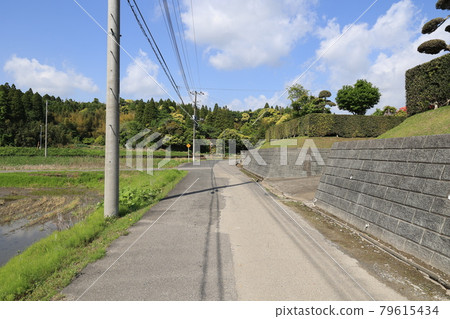 鄉村小路 79615434