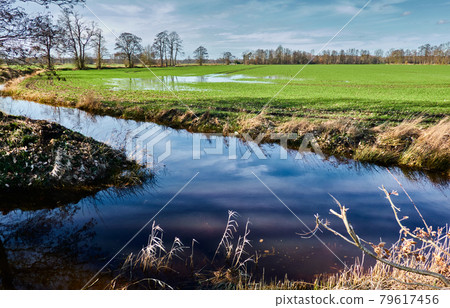 Confluence of two artificial drainage ditches with a wet meadow area in the background 79617456