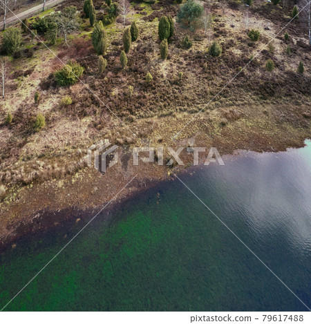 Aerial view from the shore of a lake in the heath, with the heath landscape with heather, juniper, pines, spruces and bushes Aerial view from the shore of a lake in the heath, with the heath landscape with heather, juniper, pines, spruces and bushes 79617488