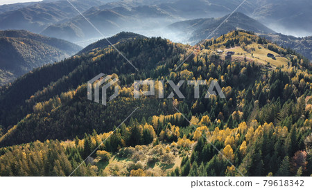 Aerial green mountain forest. Nobody nature landscape at mist autumn. Pine trees, grass valley 79618342