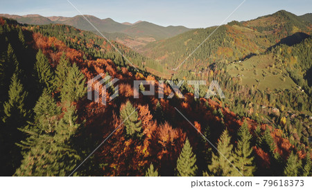 Aerial autumn mountain forest. Sun nobody nature landscape. Countryside buildings at natural beauty 79618373