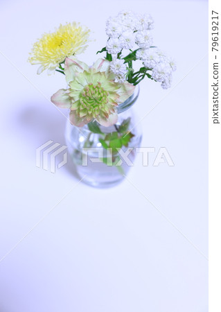 Garden flowers Garden flowers 79619217