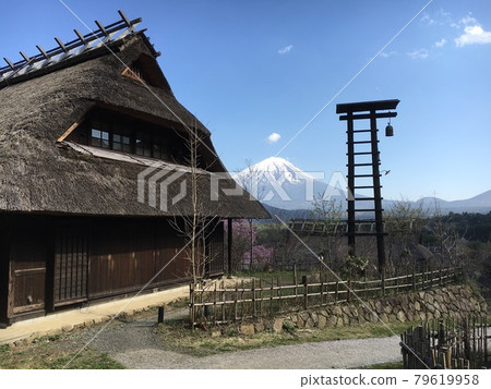 可以欣賞富士山和櫻花的治愈村 79619958