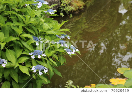 仙台山名寺庭園 79620429