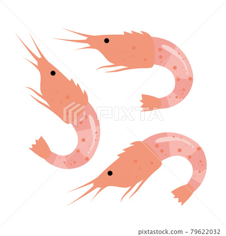 Sakura shrimp Sakura shrimp 79622032